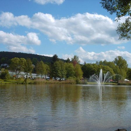 Hotel Irene Бад-Кеніґ Екстер'єр фото