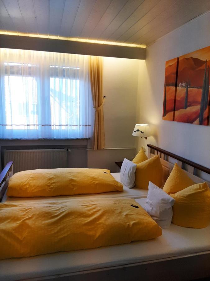 Hotel Irene Бад-Кеніґ Екстер'єр фото